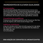P12384808