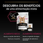 P12384808