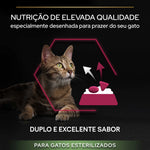 P12384809