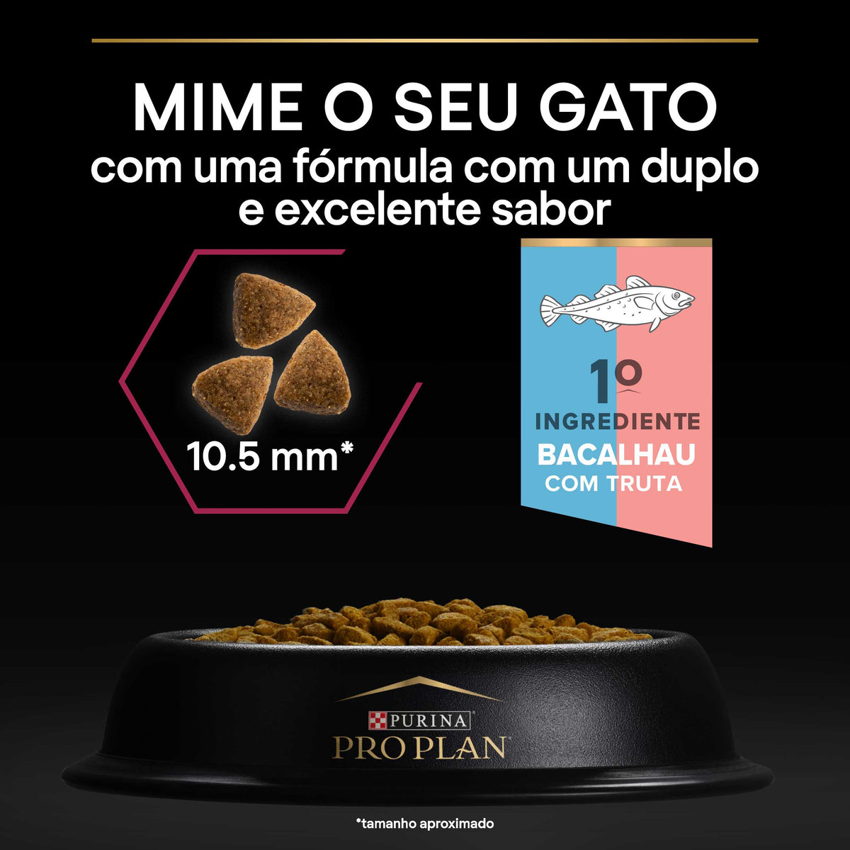 P12384809