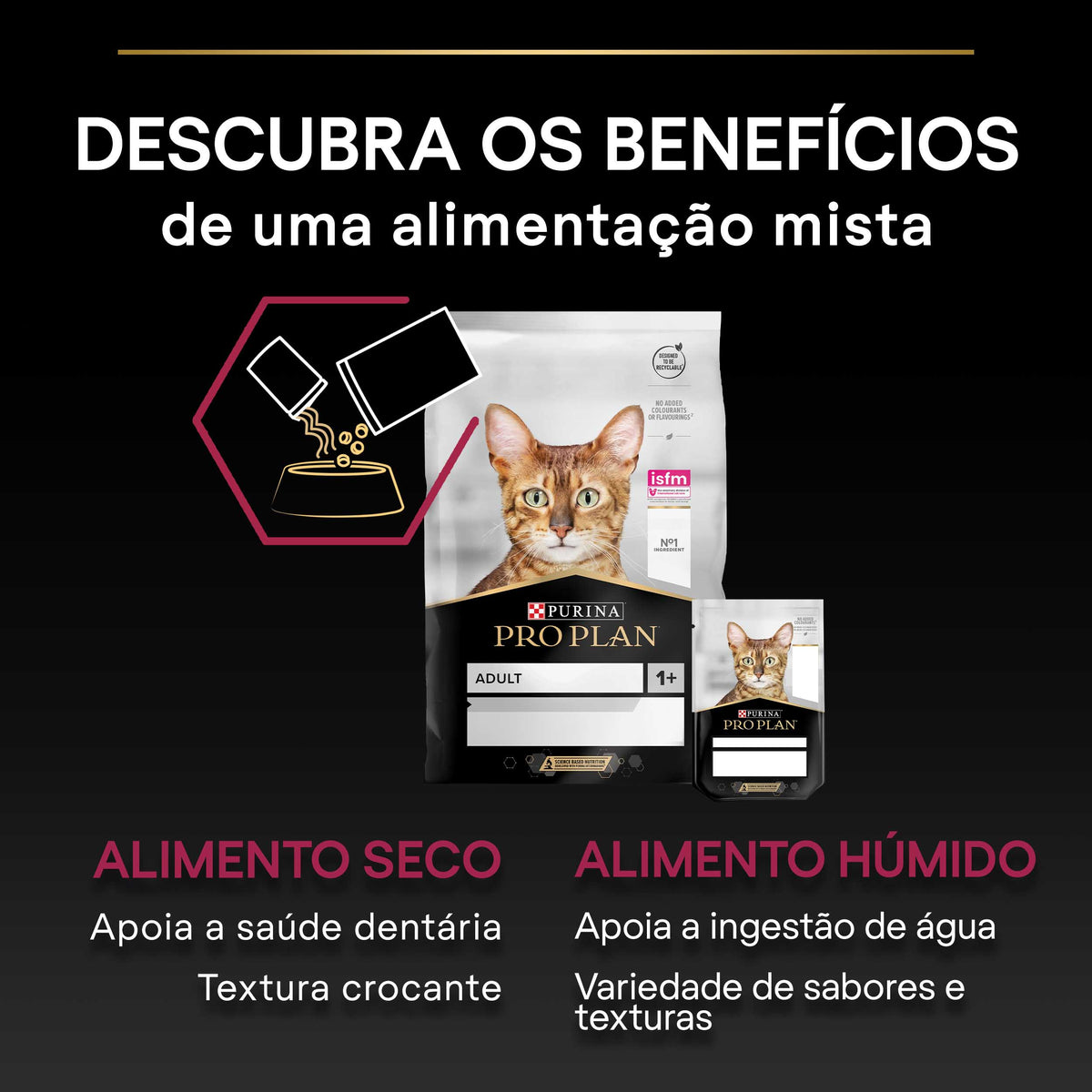 P12384809