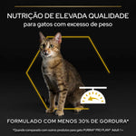 P12399987