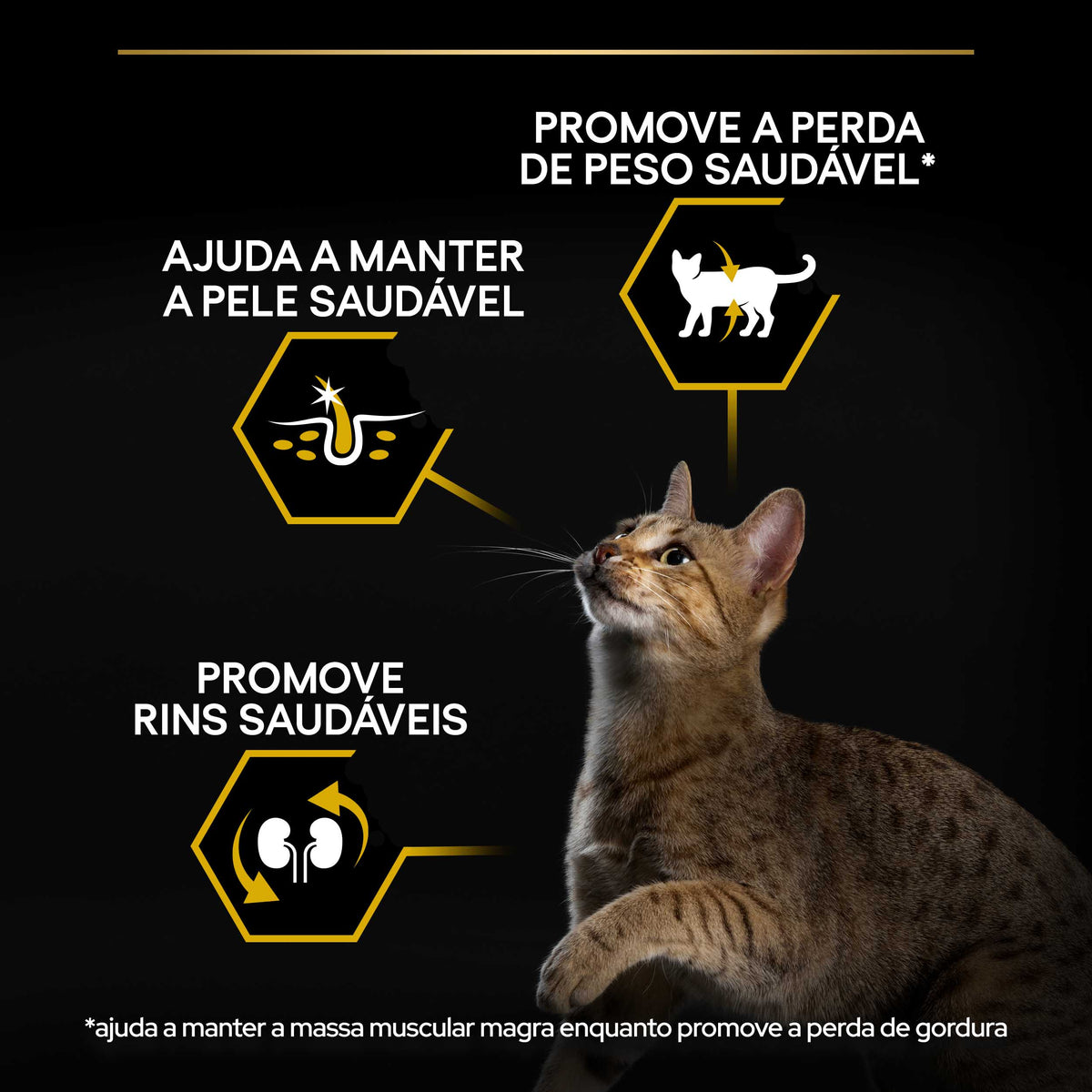 P12399987