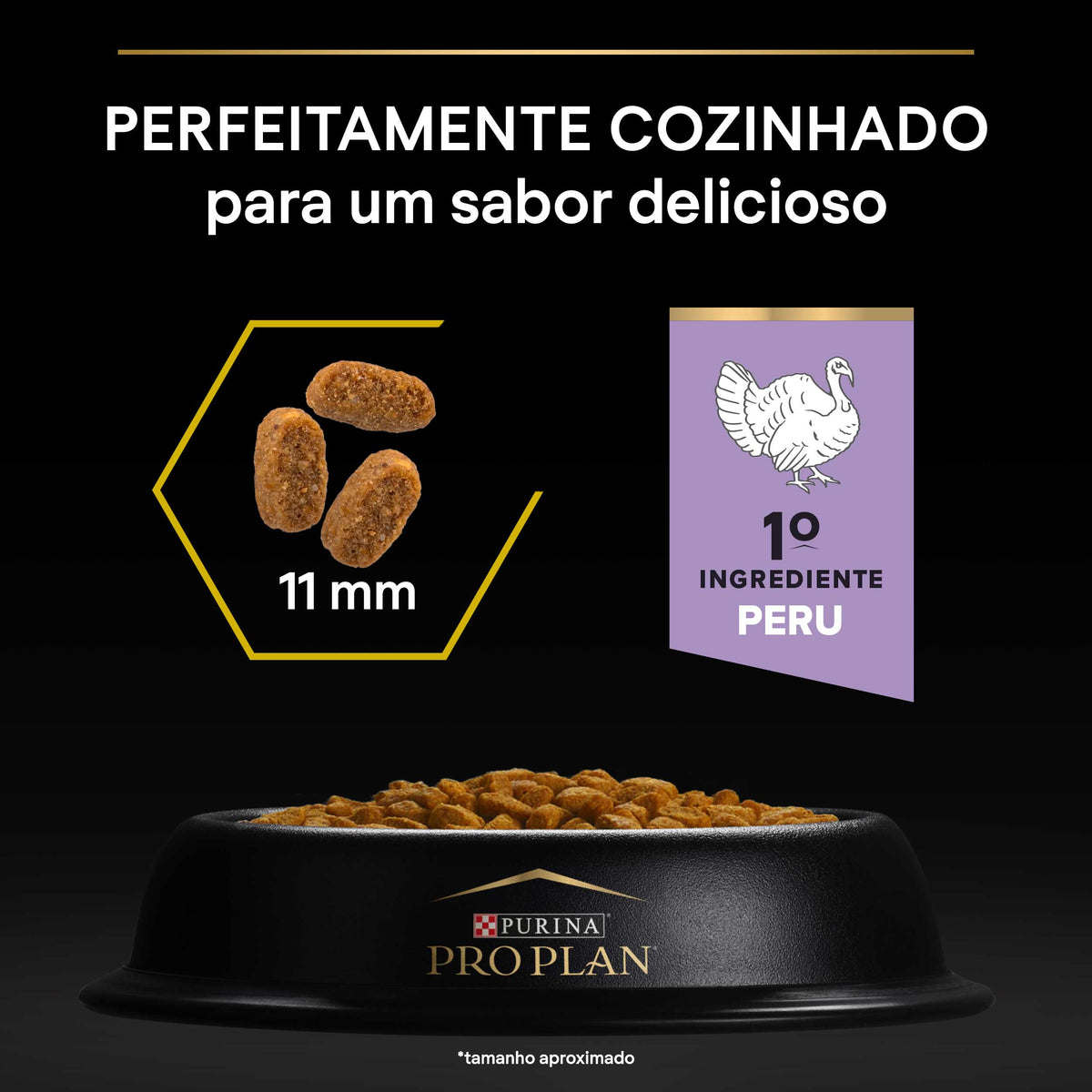 P12399987