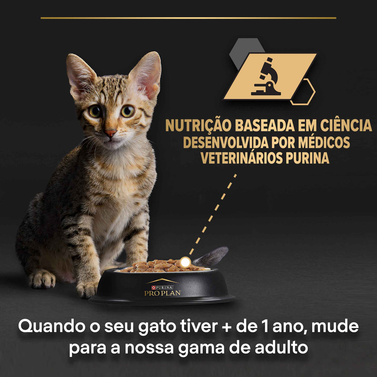 P12458950
