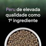 P12466177