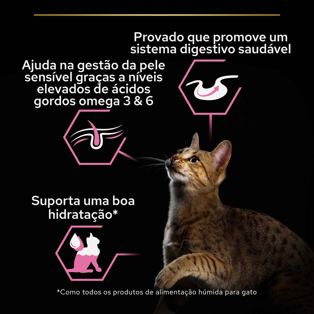 P12478812