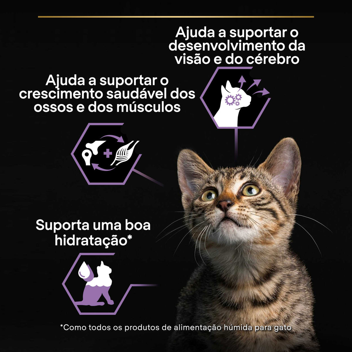 P12478813