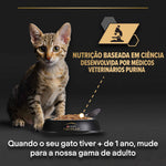 P12478813