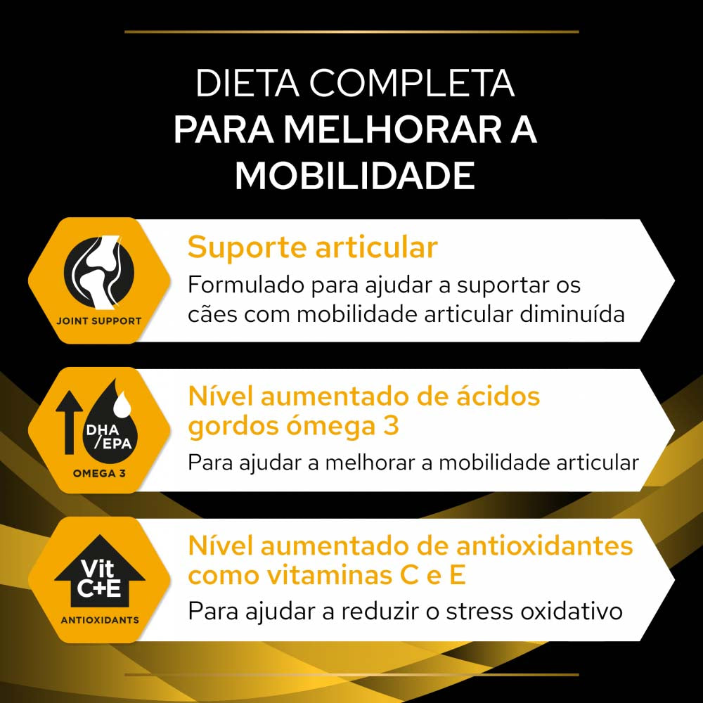 P12483408