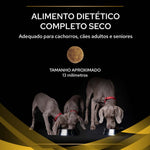 P12483408