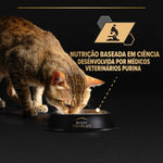 P12513470