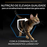 P12538872