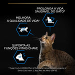 P12538872
