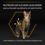 P12539080