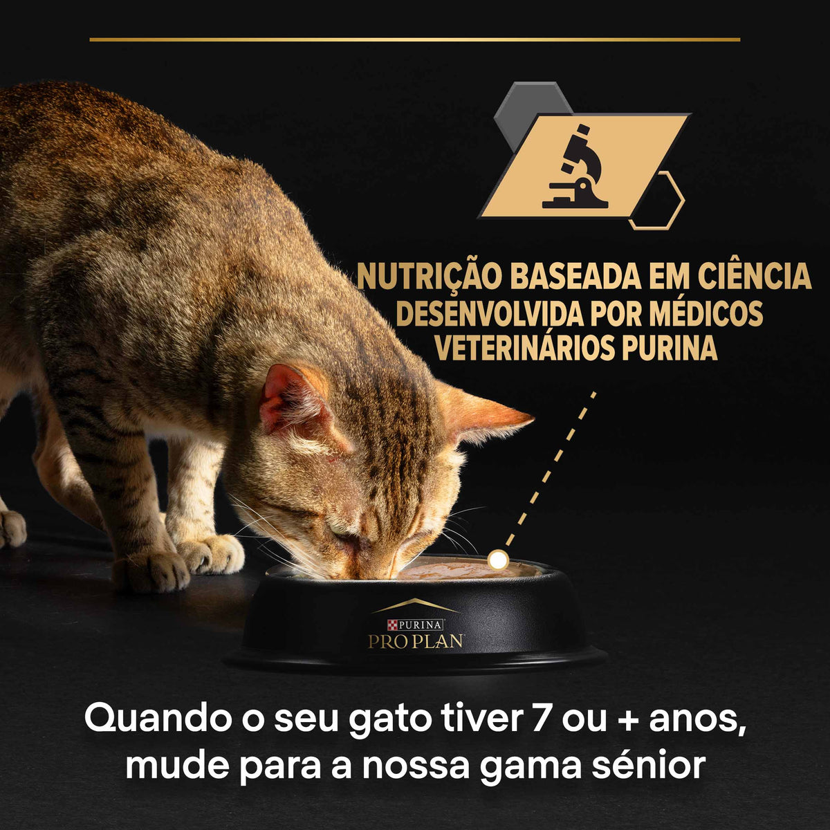 P12572153
