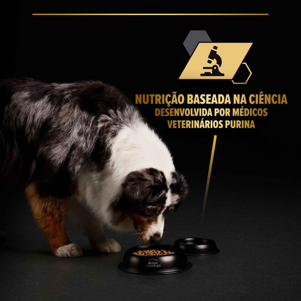P12572635