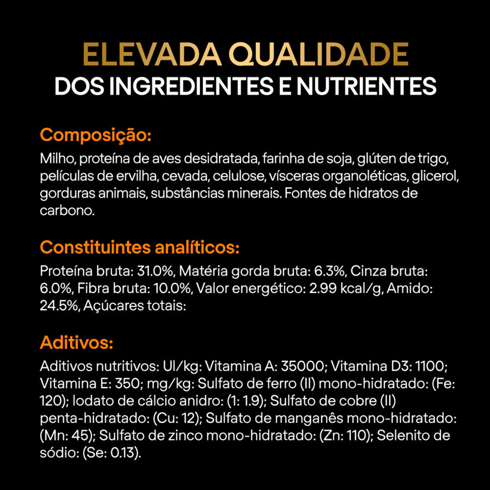 P12608237