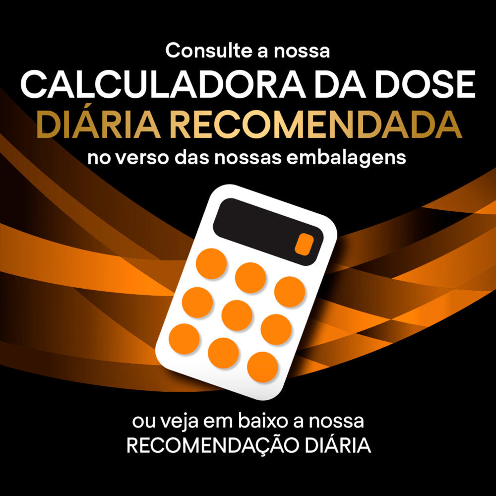 P12608237