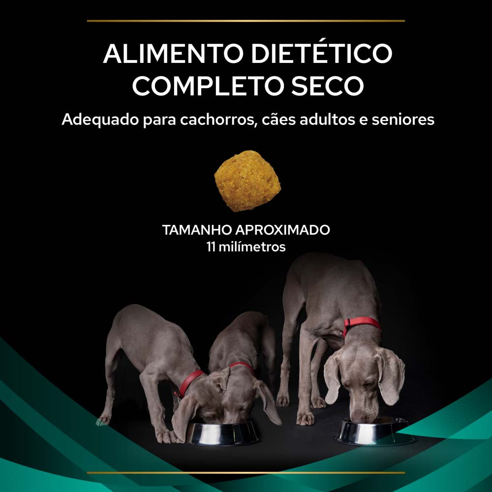 P12615635