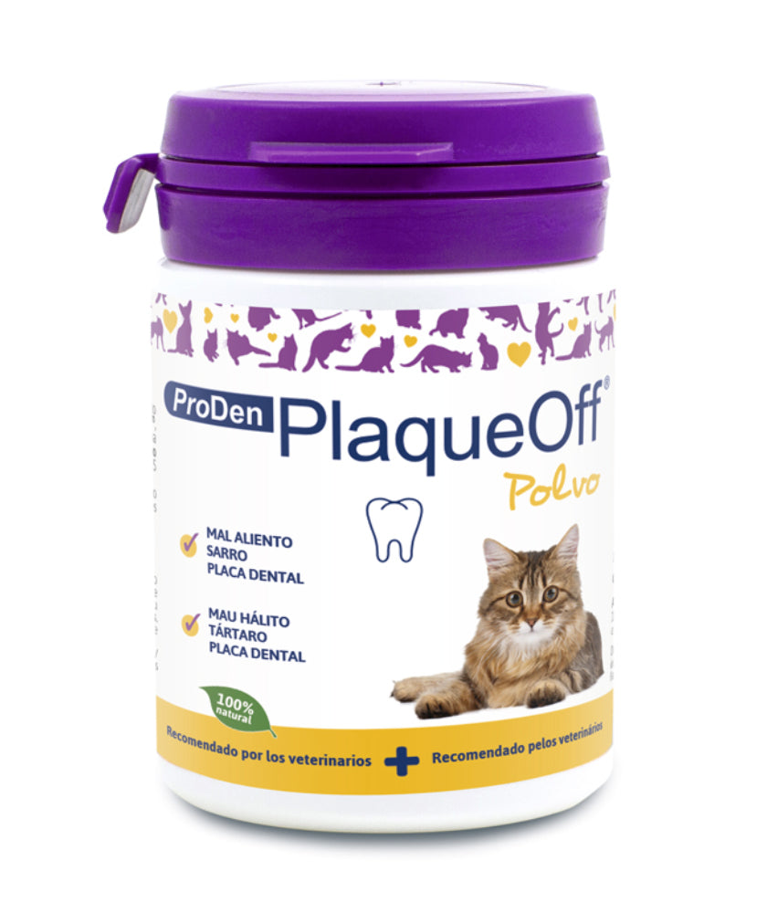 PLAQGAT40