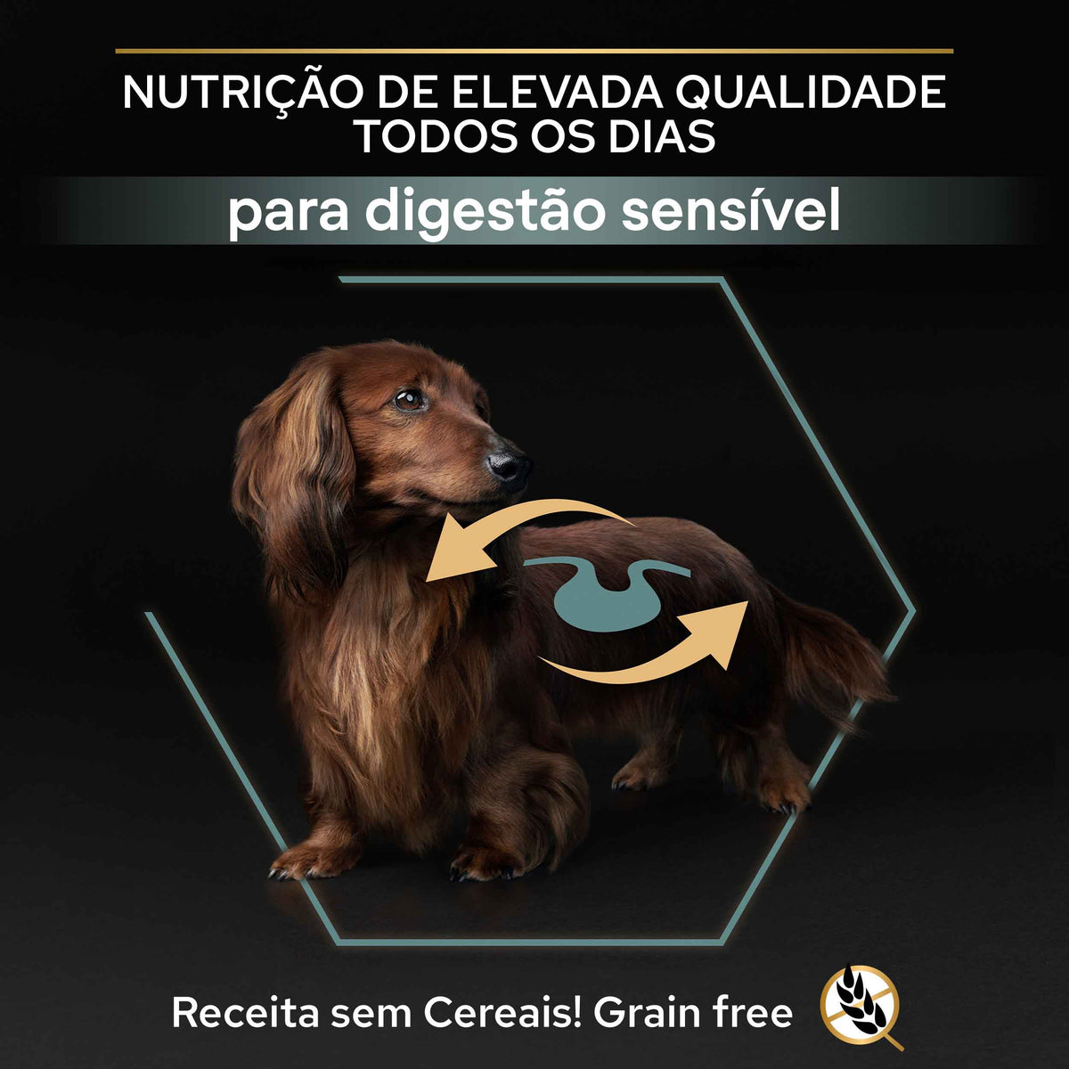 PP12384751