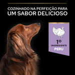 PP12384751