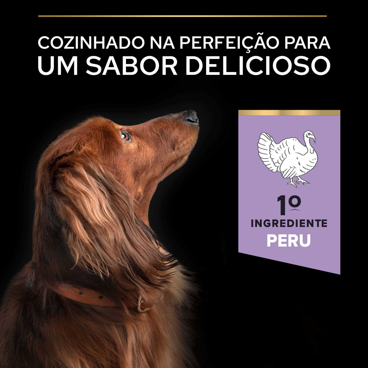 PP12384751