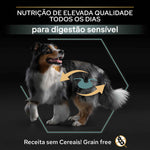 PP12384756