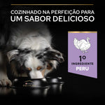 PP12384756