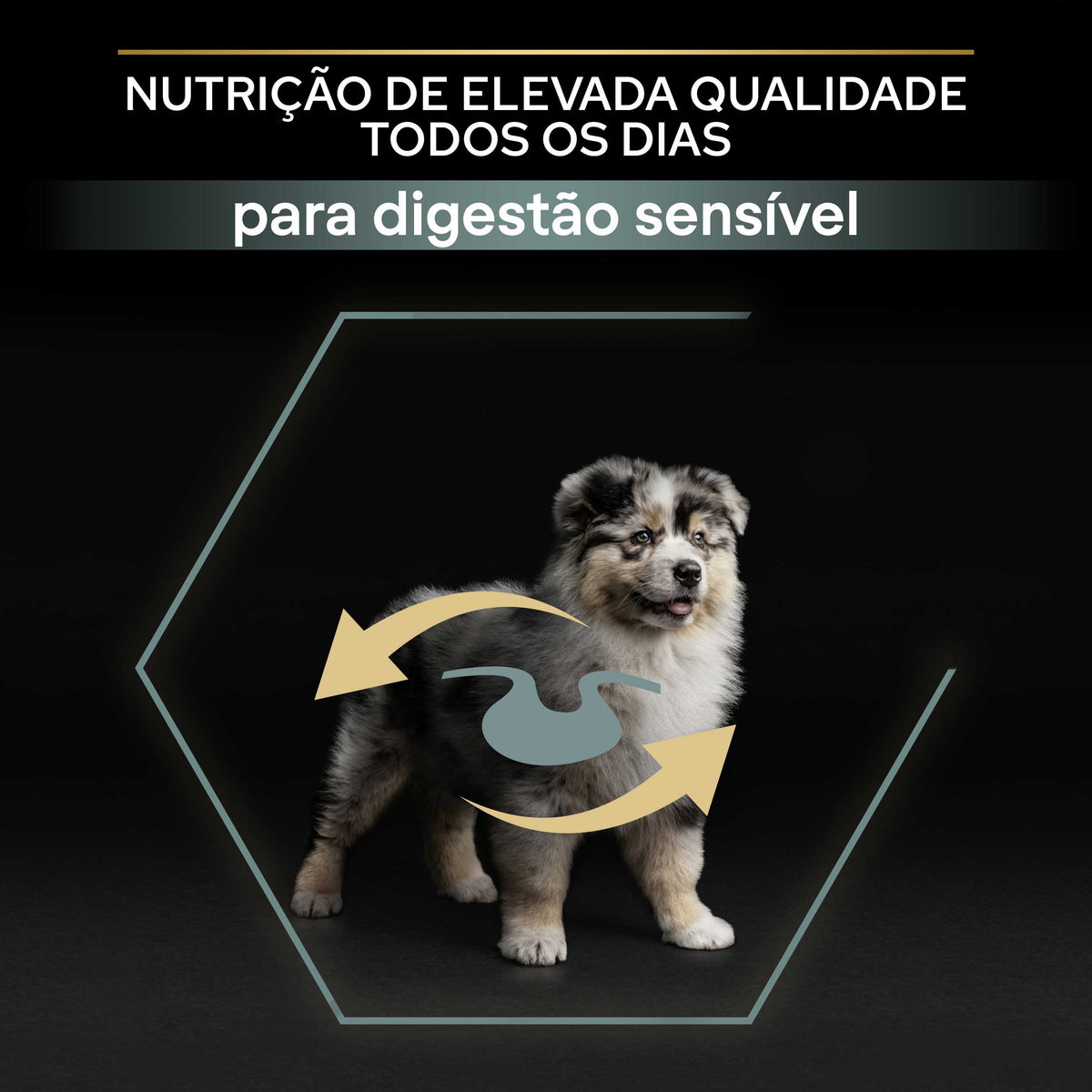 PP78099