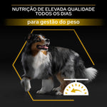 PPAALS03