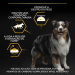 PPAALS03