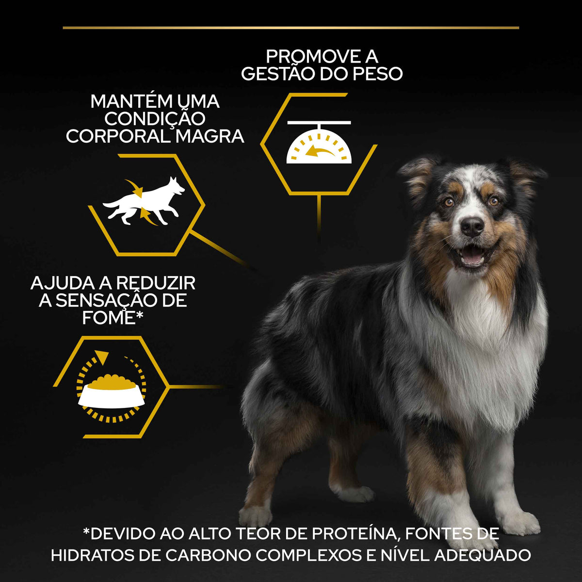 PPAALS03
