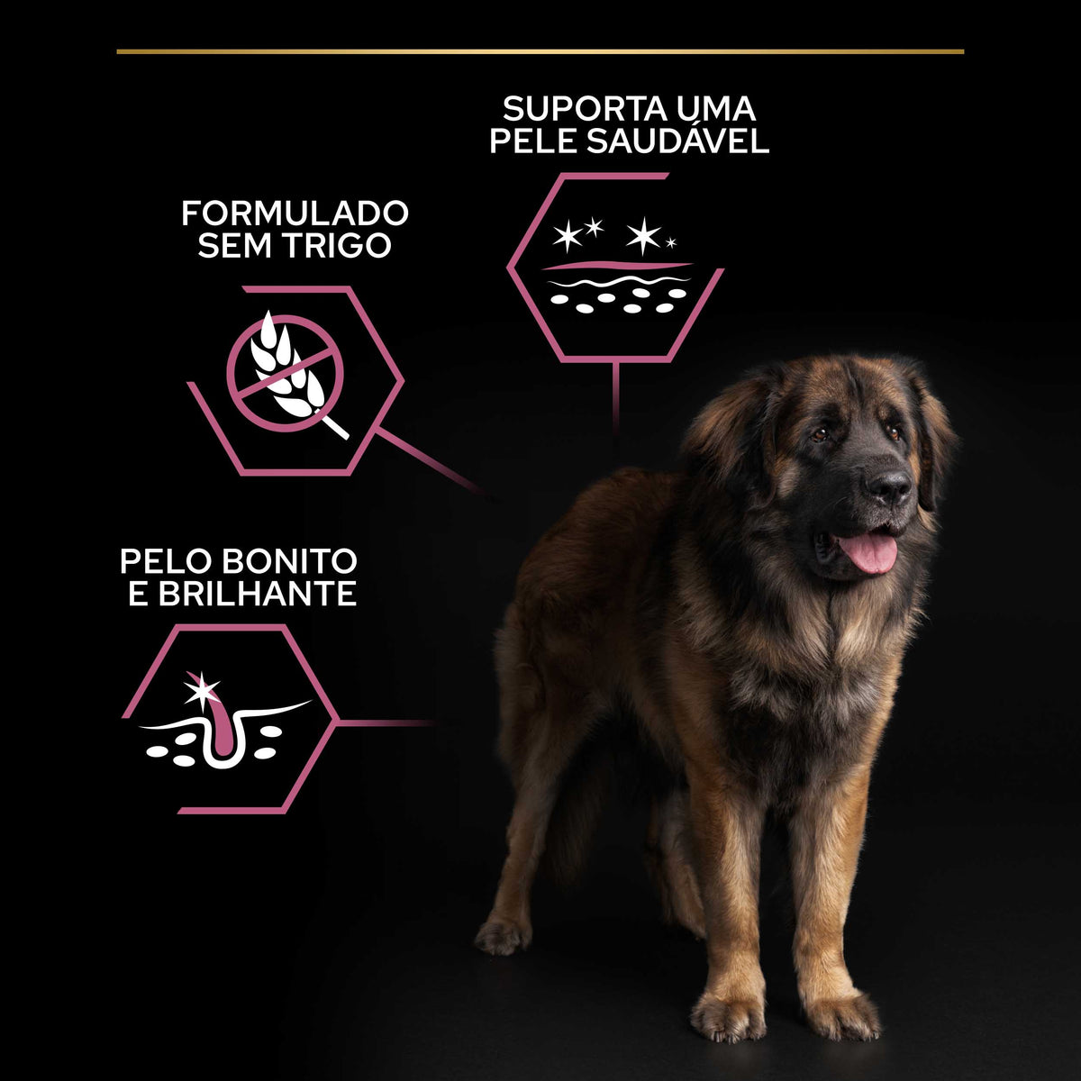 PPALRSS14