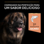 PPALRSS14