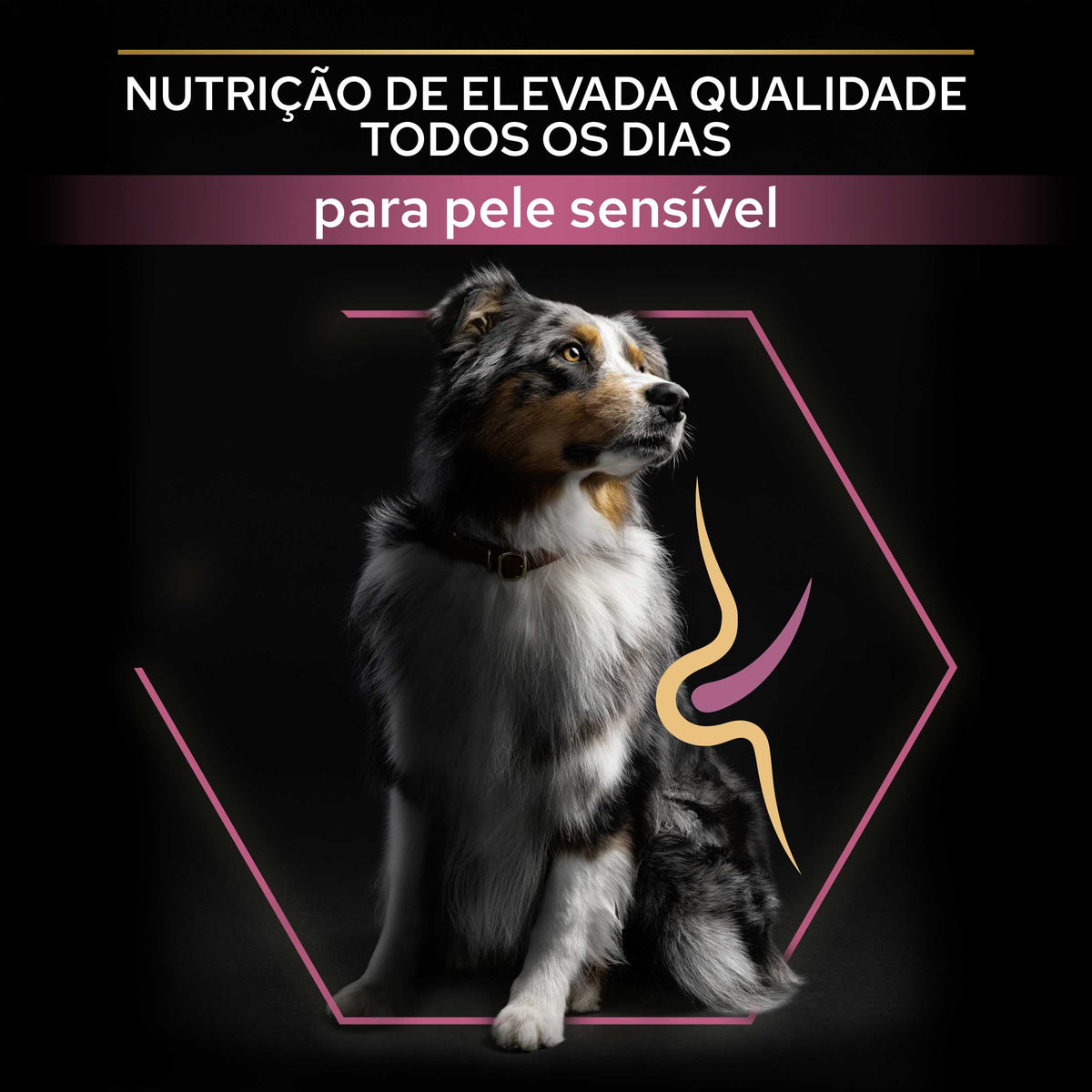 PPMASS03