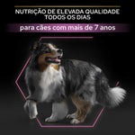 PPML7A03