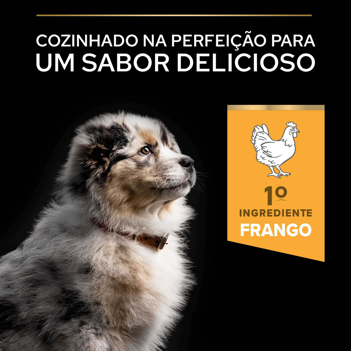 PPMP03