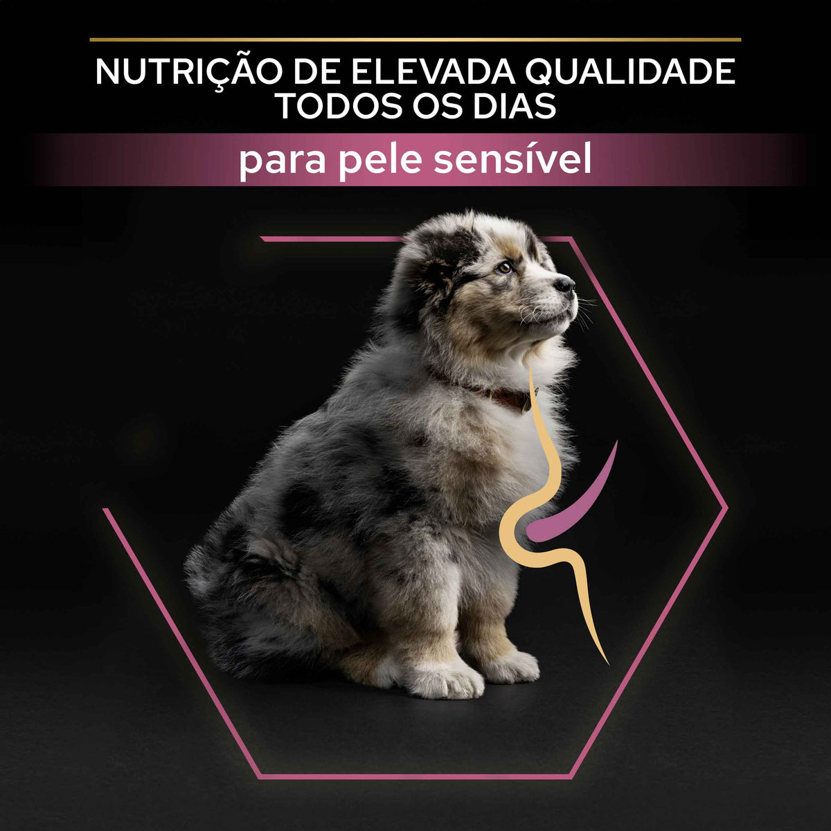 PPMPSS03