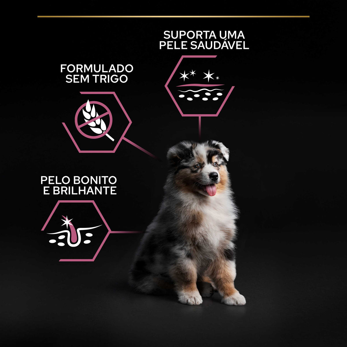 PPMPSS03