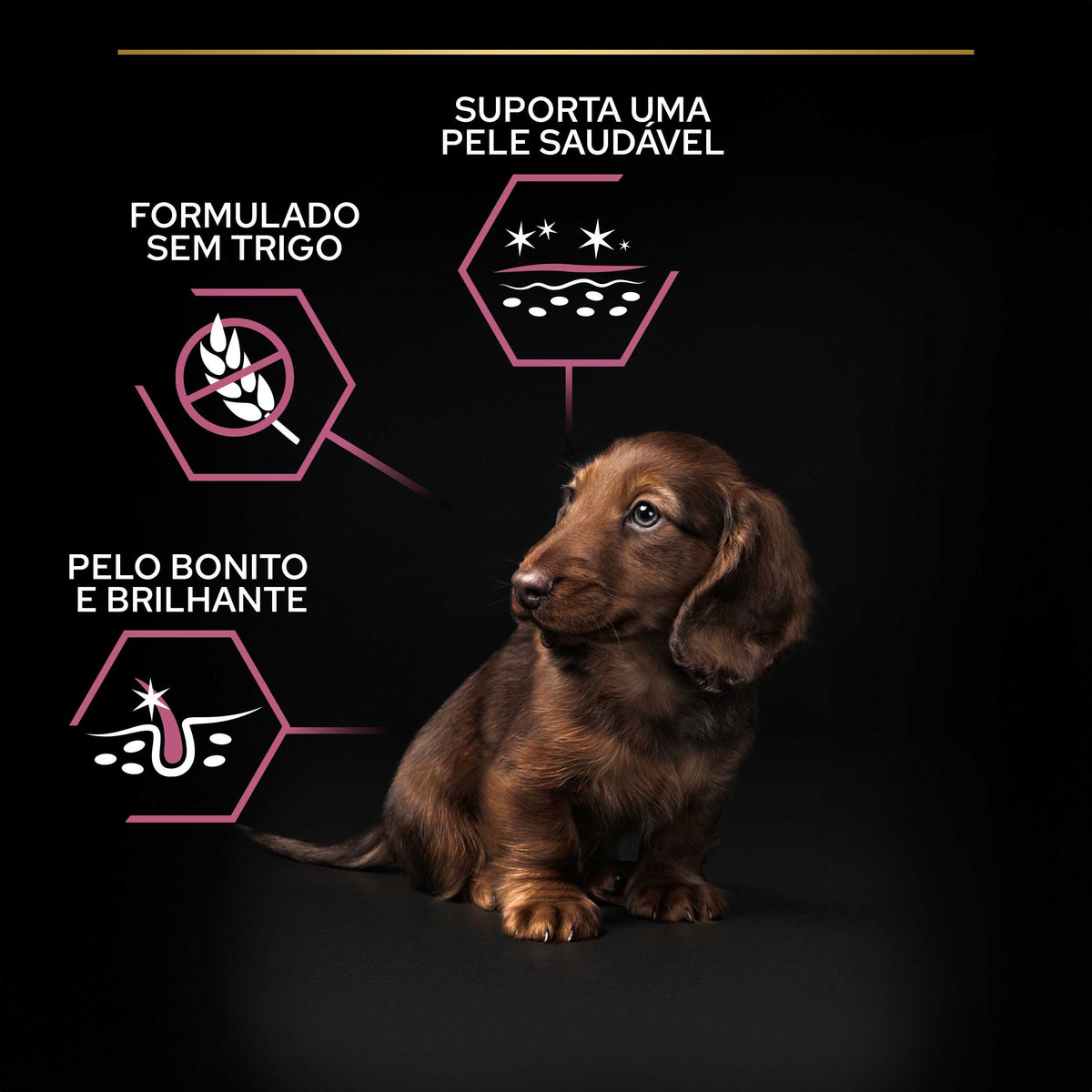 PPSMPSS03