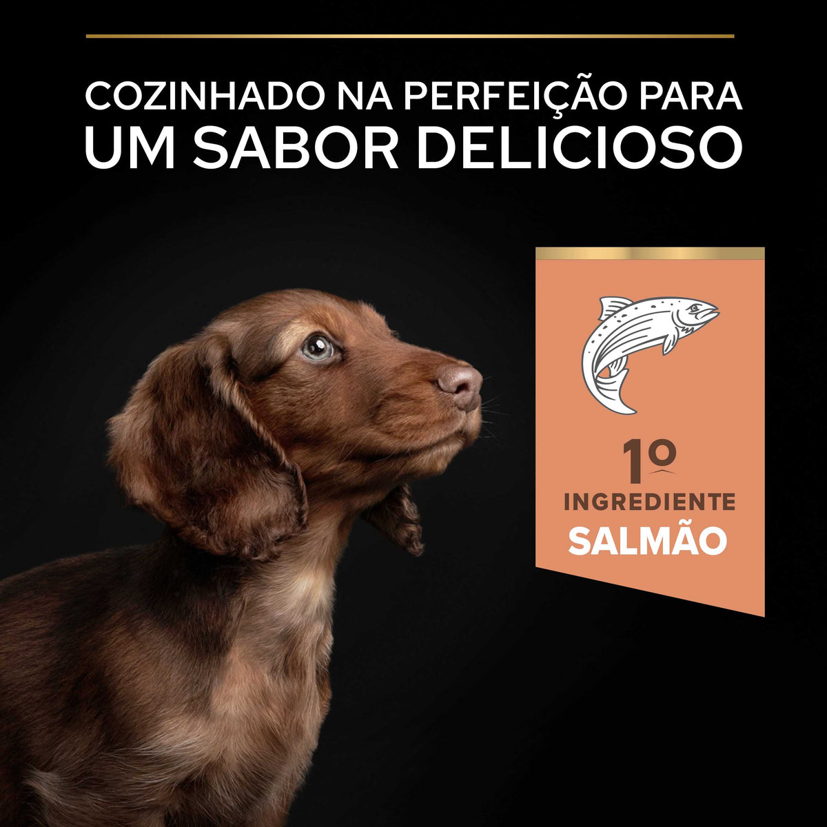 PPSMPSS03