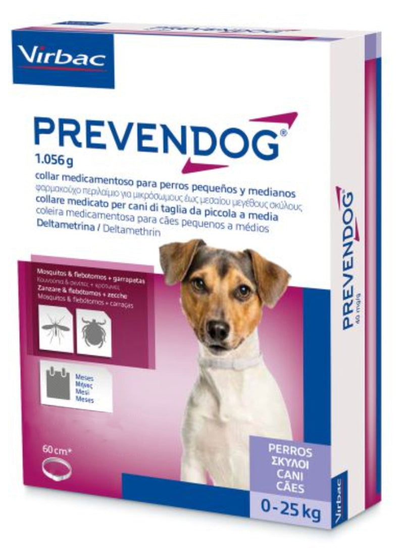 PREVEND60