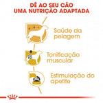 R2043000
