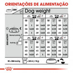 R3055801