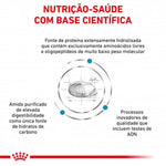 R33174001
