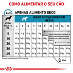 R3318200