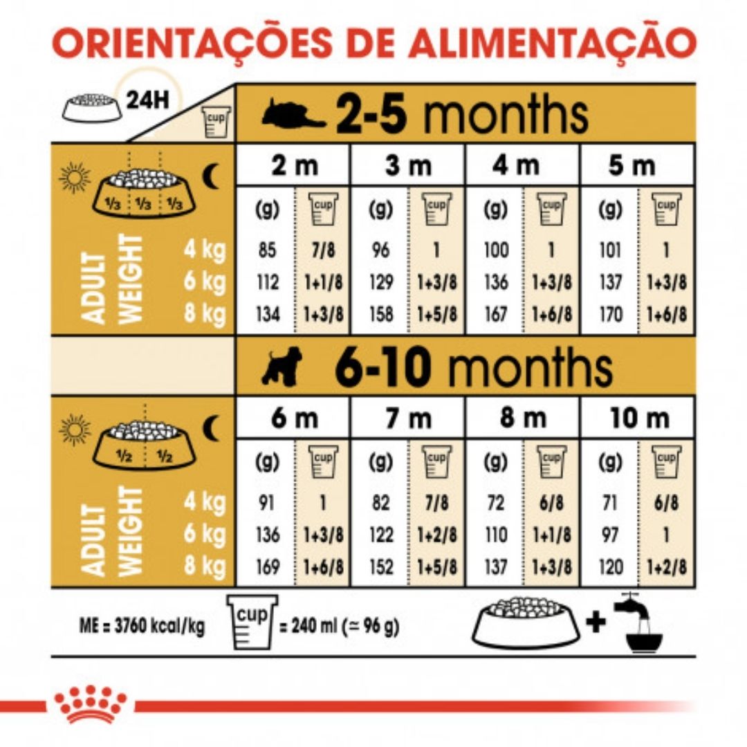 R4131200