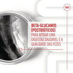 R471804